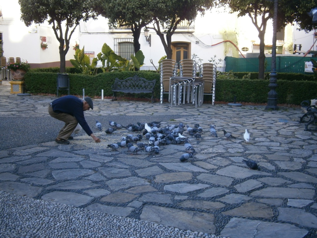 Hombre alimentando palomas